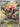 Unfezant - 155/086 (155/086) - SV11B: Black Bolt