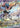 Greninja ex 132 · PSA 10 slab