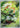 Caterpie - 172/165 (172/165) - SV2a: Pokemon Card 151