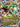 Rayquaza EX (XY73) (XY73) - XY Promos