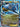 Kingdra EX (73/124) - XY - Fates Collide