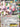 Magearna EX (75/114) - XY - Steam Siege