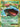Venusaur EX (1/108) - XY - Evolutions