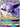 Espeon GX (61/149) - SM Base Set