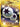 Double Colorless Energy (Secret) (166/145) - SM - Guardians Rising