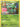 Bulbasaur - 1/108 (Build-A-Bear Workshop Exclusive) (001/108) - Miscellaneous Cards & Products