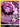 Koffing (Secret) (243/236) - SM - Cosmic Eclipse