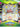 Shining Fates Collection [Shiny Eldegoss V]