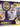 Jolteon VMAX Premium Collection