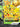 Pikachu V-Union - SWSH141 (SWSH141) - SWSH: Sword & Shield Promo Cards