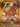 Koraidon ex - 254/198 (254/198) - SV01: Scarlet & Violet Base Set