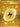 Basic Lightning Energy - 257/198 (257/198) - SV01: Scarlet & Violet Base Set