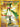 Meowscarada ex - 271/193 (271/193) - SV02: Paldea Evolved