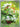 Caterpie - 172/165 (172/165) - SV: Scarlet & Violet 151