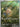 Feebas - 198/191 (198/191) - SV08: Surging Sparks