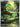Pansage - 089/086 (089/086) - SV: Black Bolt