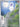 Litwick - 101/086 (101/086) - SV: White Flare