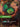 Seal of Focus (Overnumbered) (226/221) - Spiritforged
