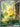 Pikachu ex - 276/217 (276/217) - ME: Ascended Heroes