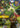 Ivern - Friend to All (177/219) - Unleashed