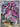 Drapion - 097/088 (097/088) - ME03: Perfect Order