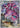 Drapion - 097/088 (097/088) - ME03: Perfect Order