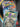 Chaos Rising Single Pack Blister [Toxel]
