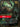 Pyke - Dockside Butcher (028/219) - Unleashed