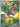 Tyrunt - 070 (070) - ME: Mega Evolution Promo