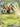 Beedrill ex - 003/086 (003/086) - ME04: Chaos Rising