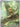 Chespin - 087/086 (087/086) - ME04: Chaos Rising