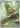 Chespin - 087/086 (087/086) - ME04: Chaos Rising