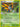 Beautifly (2/107) - Deoxys