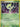 Celebi - 029 (EX Collector's Carry Tin) (029) - Nintendo Promos