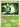 Celebi (Prime) (92/102) - Triumphant
