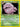 Dark Weezing (14) (14/82) - Team Rocket