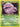 Dark Weezing (31) (31/82) - Team Rocket