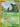 Snorlax (Delta Species) (10/101) - Dragon Frontiers
