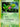 Treecko - 016 (EX Deck Tin) (016) - Nintendo Promos