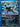 Umbreon (Team Plasma) (64/116) - Plasma Freeze