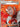 Lysandre (104 Full Art) (104/106) - XY - Flashfire