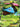 Venusaur EX - XY28 (XY28) - XY Promos